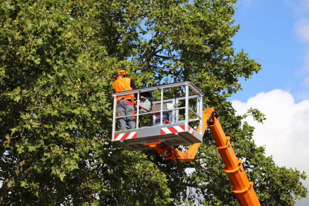 Seasonal Cleanup in Wellsville, UT